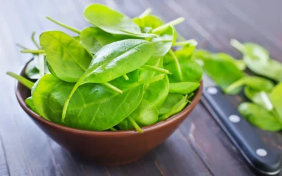 Folsyre i kosten og evnen til at blive gravid